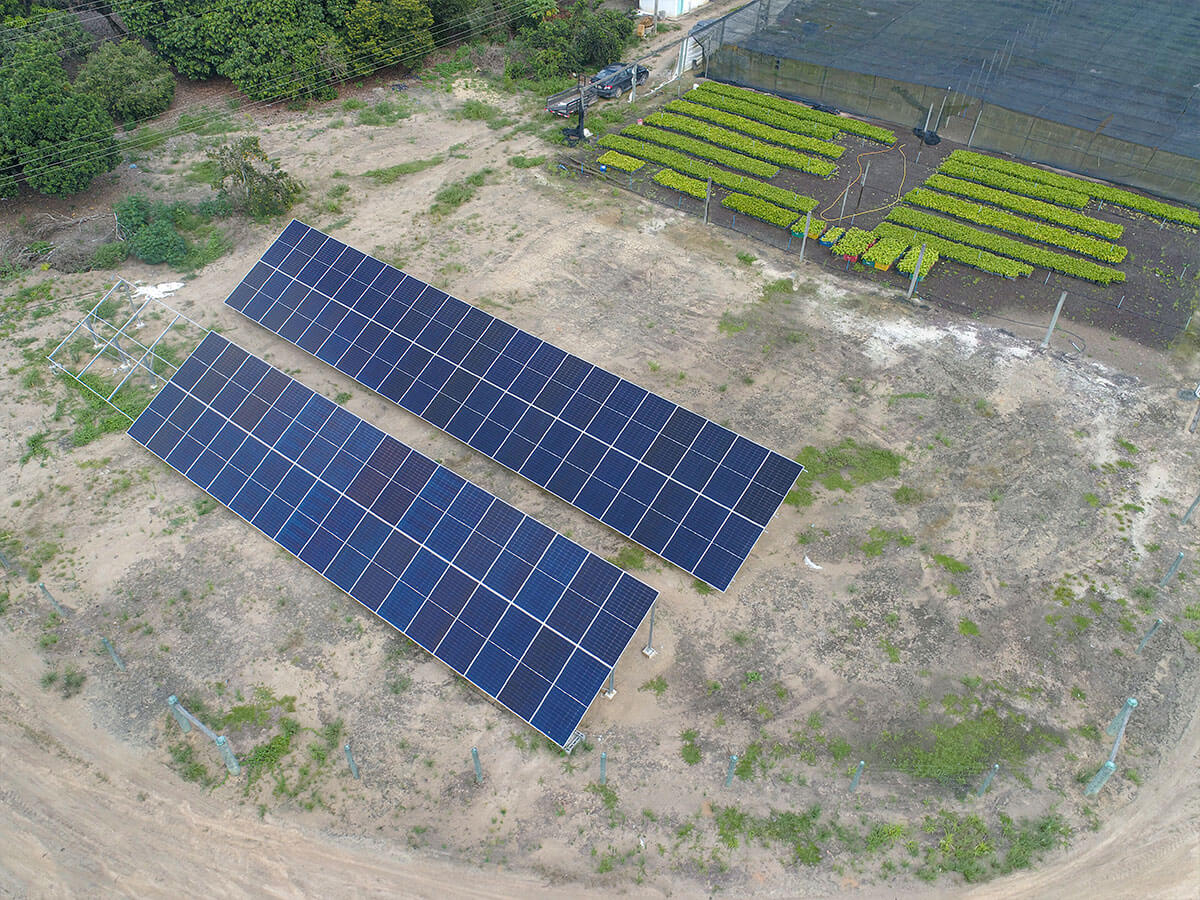 Projeto realizado Tech Control: Solo — Horticultura